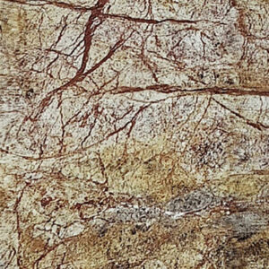 Rainforest Brown Marble